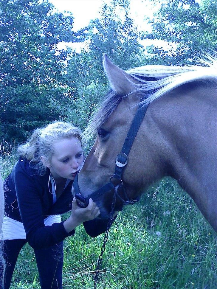 Anden særlig race Mulle - Møøøøs til dig min engel billede 13