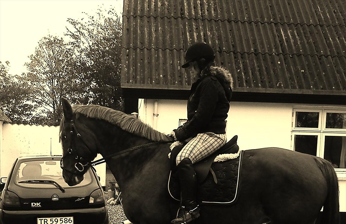 Anden særlig race Isabella (Issa) <3 Solgt :'( billede 29