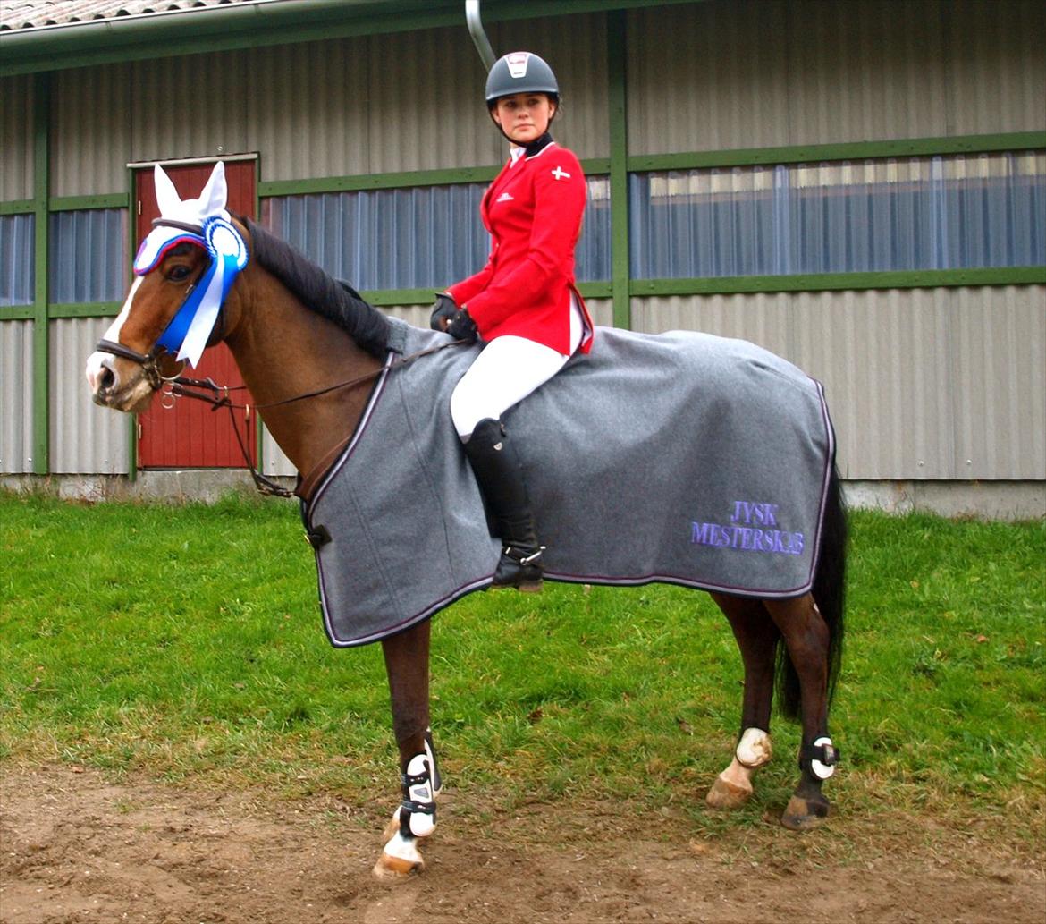 Anden særlig race Casco - Jysk mesterskab 2011 - s** billede 15