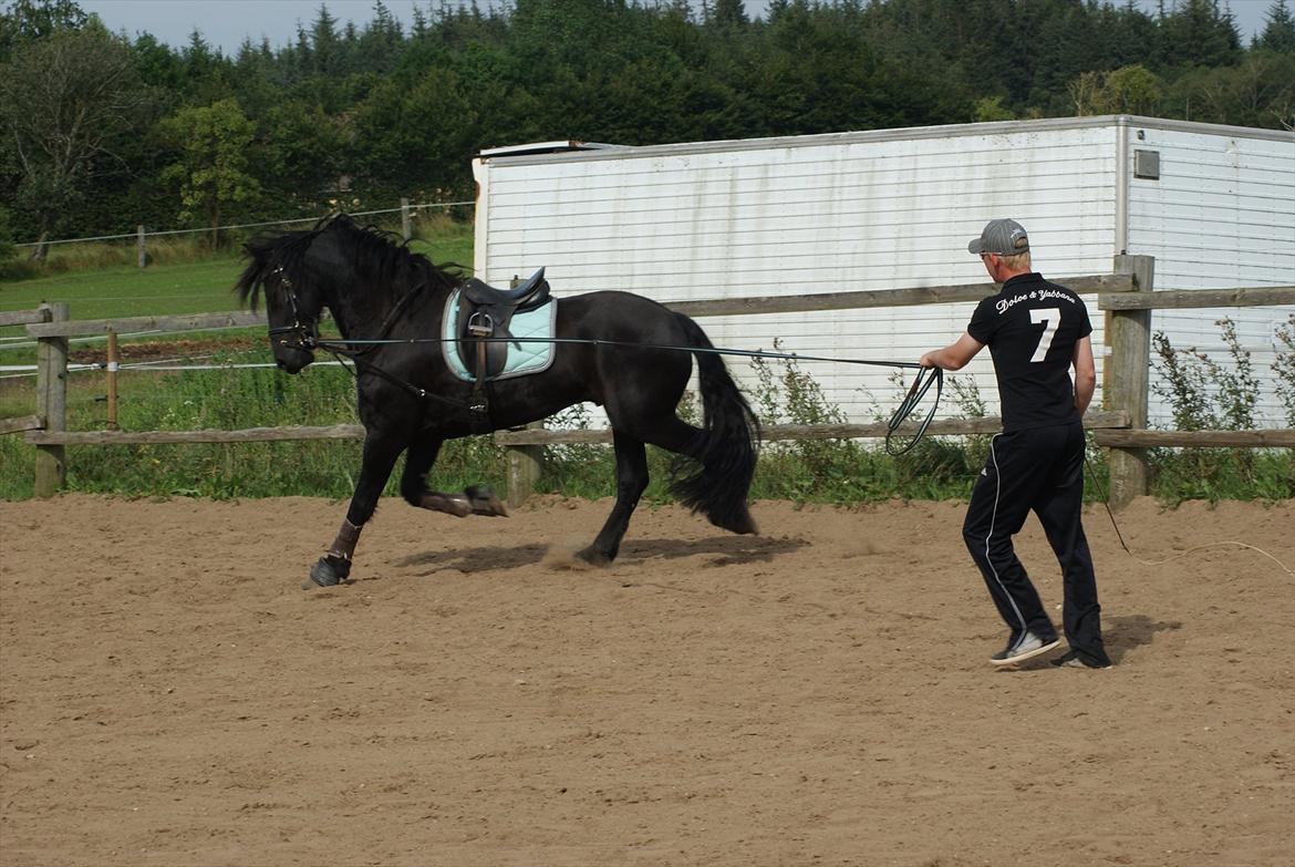 Frieser Picasso (puk foure) billede 10