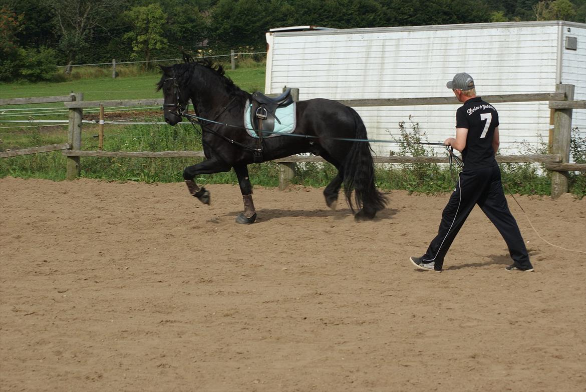 Frieser Picasso (puk foure) billede 11