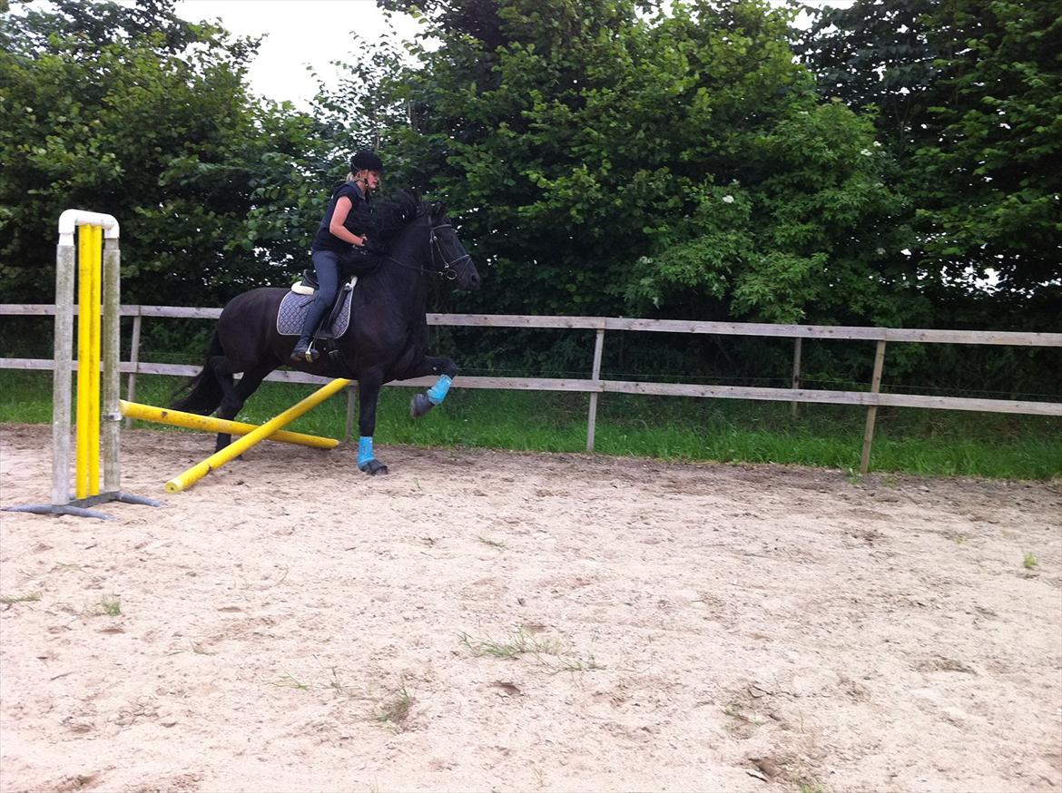 Frieser Picasso (puk foure) billede 12