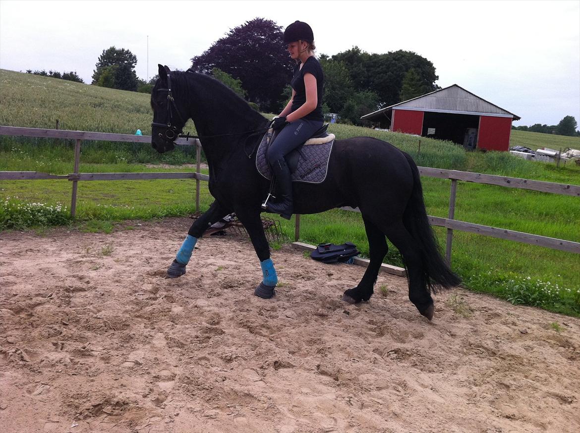 Frieser Picasso (puk foure) billede 13