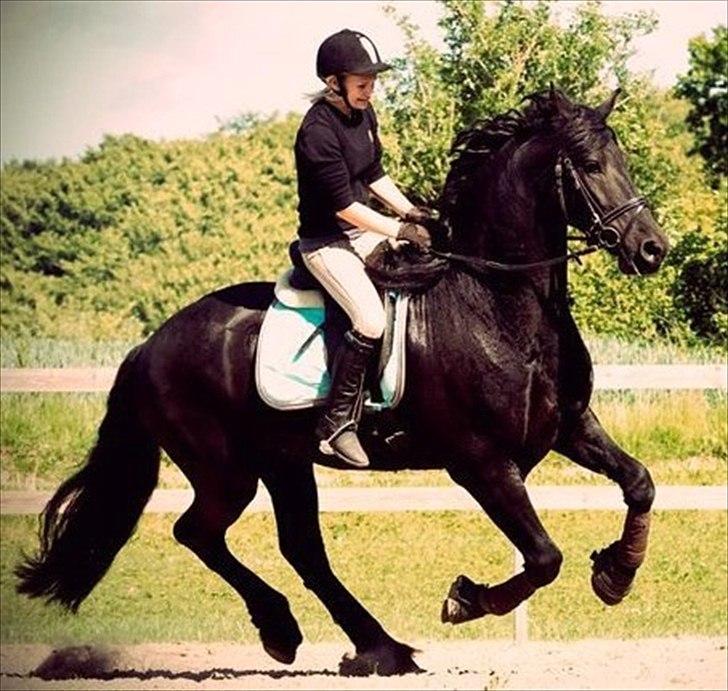 Frieser Picasso (puk foure) billede 14