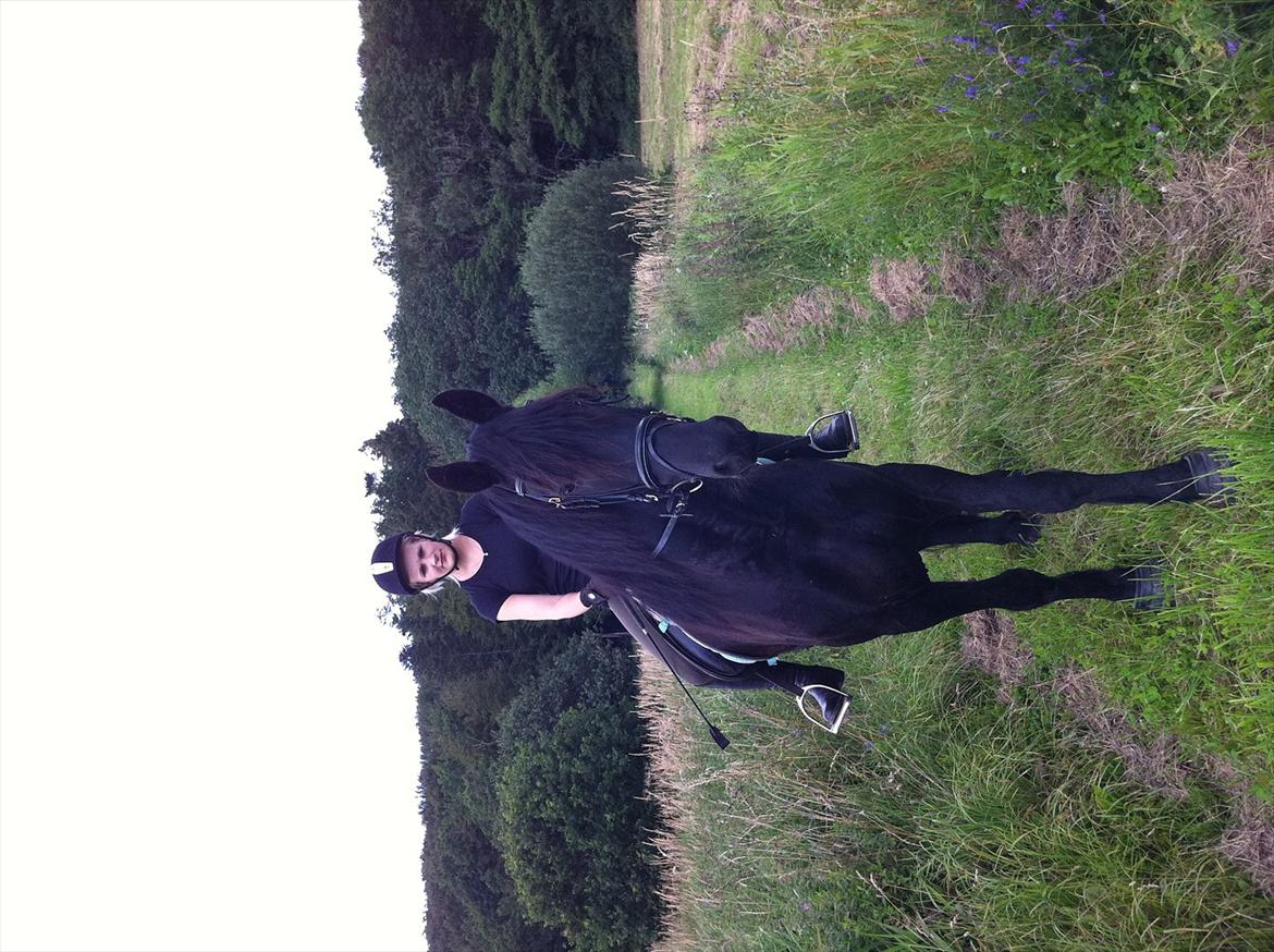 Frieser Picasso (puk foure) billede 15