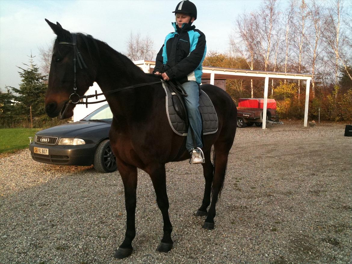 Traver Mybony Hackstable (Mille) solgt <3 billede 12