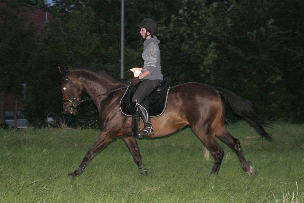 Anden særlig race Rosalin *Gl. part* billede 16