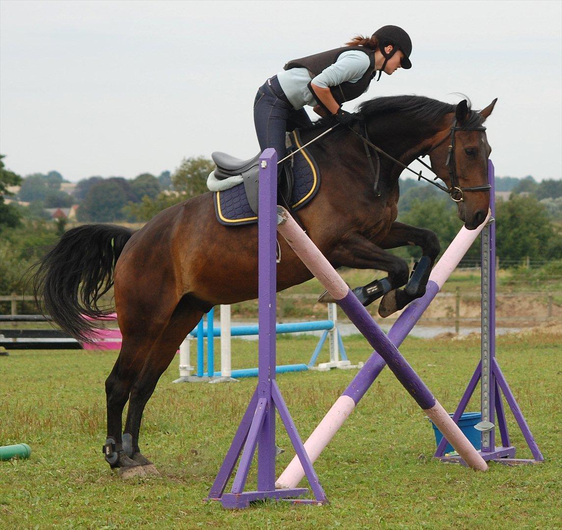Anden særlig race Banko billede 19