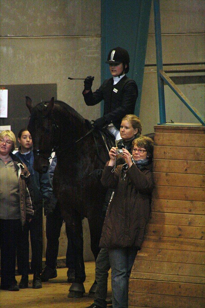 Anden særlig race Øko. - Vi skal lige ha banen på plads!<3 billede 12