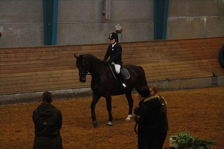 Anden særlig race Øko. billede 13