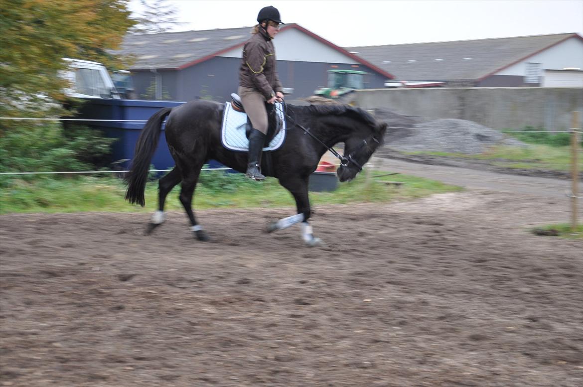 Traver Ikaros Herve - R.I.P billede 7