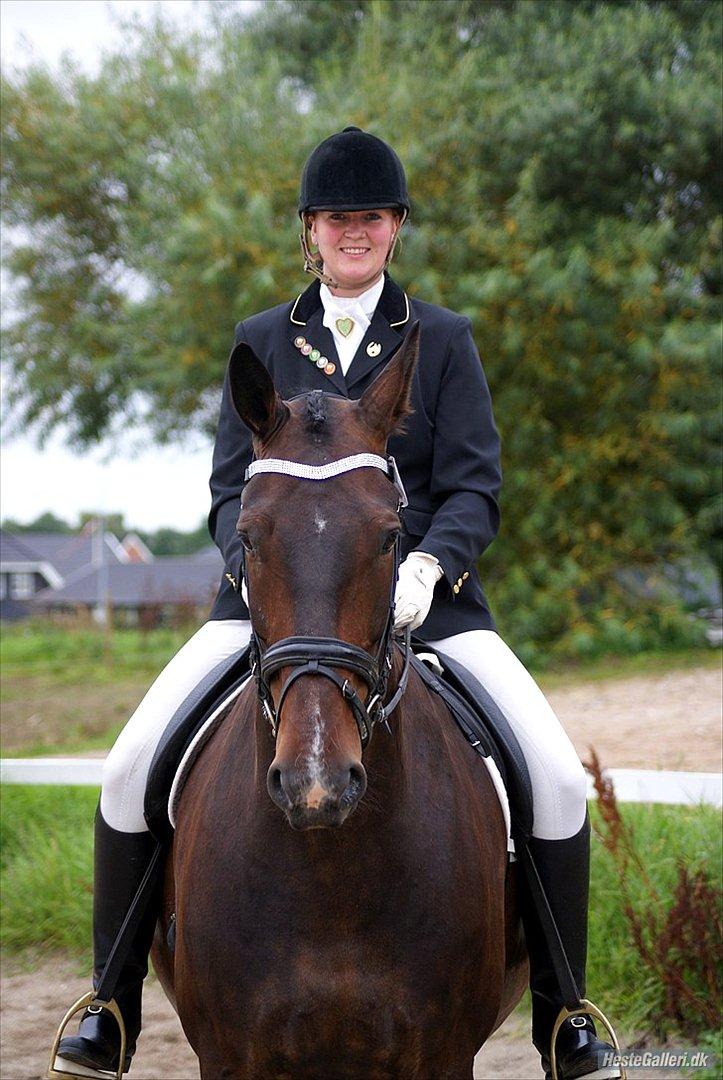 Anden særlig race Teddy - Stævne i Rosenholm billede 1