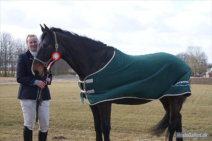 Anden særlig race Teddy - Kvalifikationsstævne i HARK TEAM CUP 4, vores hold vandt billede 3