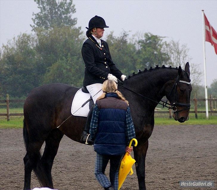 Anden særlig race Teddy - mig, teddy og Liza billede 6