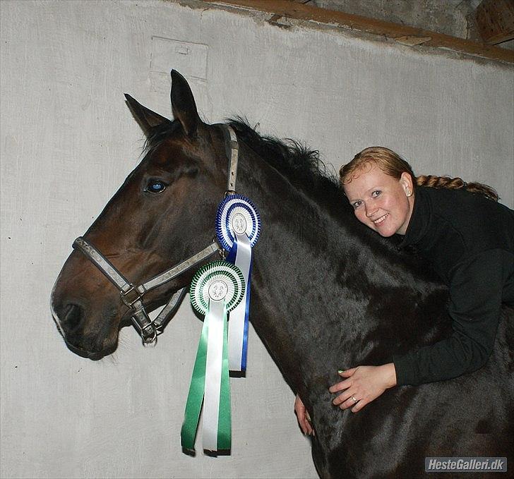 Anden særlig race Teddy - Lykkeshøj LB3 og LA1 billede 7