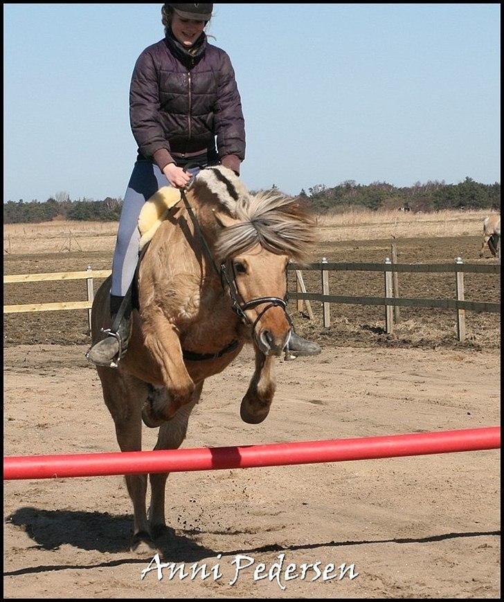 Anden særlig race Karoline Dunkans billede 16