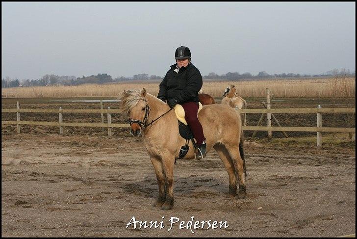 Anden særlig race Karoline Dunkans billede 10