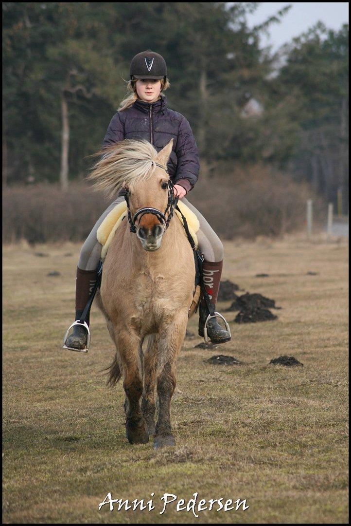 Anden særlig race Karoline Dunkans billede 12