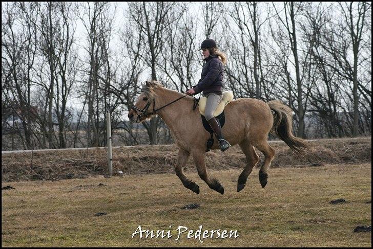 Anden særlig race Karoline Dunkans billede 13