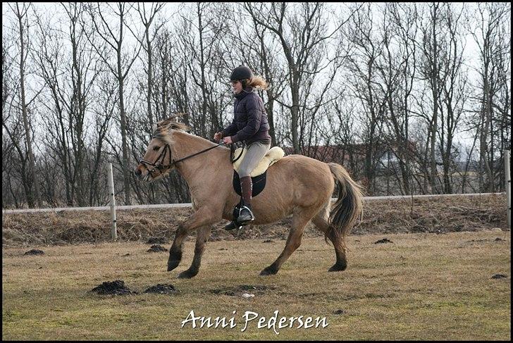 Anden særlig race Karoline Dunkans billede 14