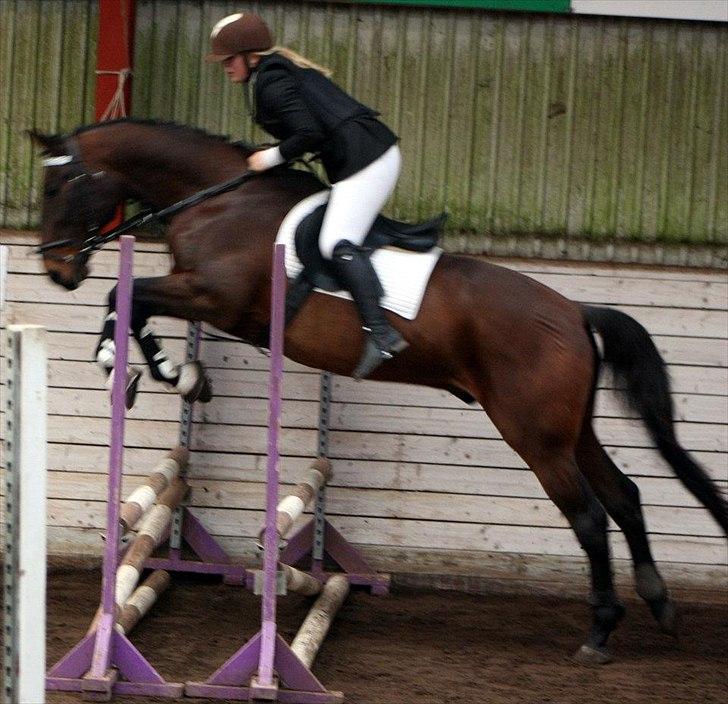 Traver Rune All Over (SAVNES!!) <3 - Succes kommer aldrig tilfældigt. Succes er hårdt arbejde, vedholdenhed, træning, indlæring, masser af ofre og frem for alt stor kærlighed til dét, du gør, eller træner dig op til at kunne gøre ♥
 billede 1