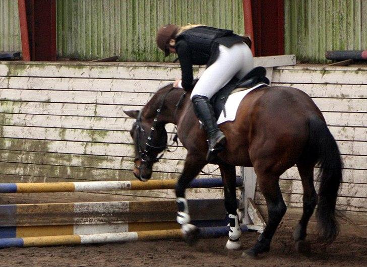 Traver Rune All Over (SAVNES!!) <3 - han kunne ikk lide de planker! :-b billede 10