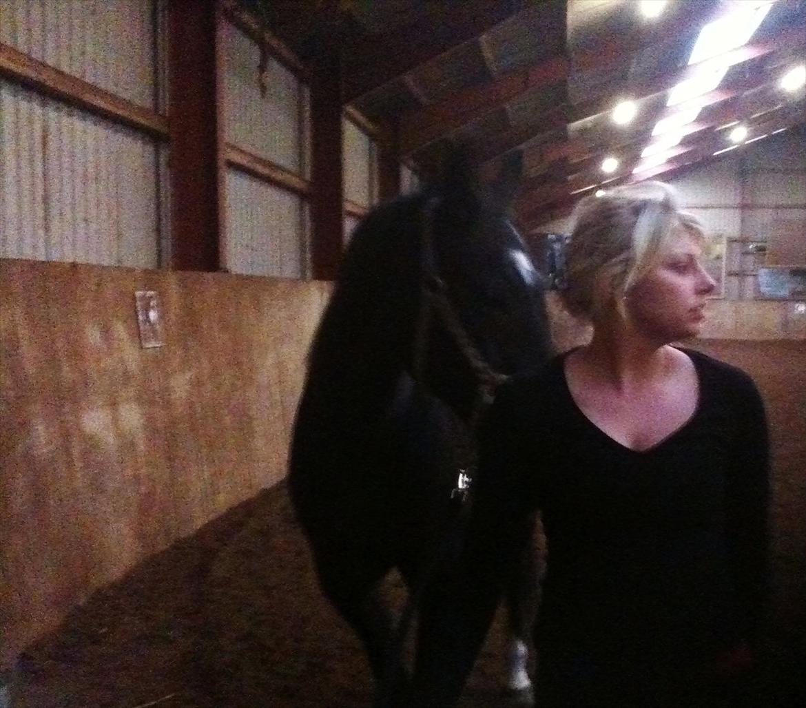 Traver Bella Donna billede 13