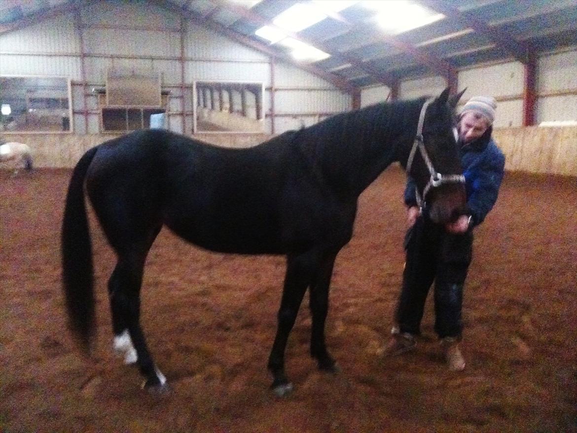 Traver Bella Donna billede 16