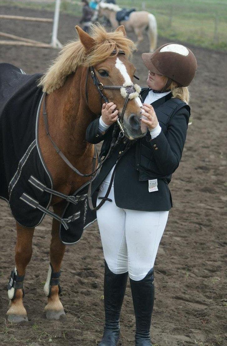 New Forest Wendy<3 (savnes  :'-( ) - It's time to be a big girl now And big girls don't cry...
.
Taget af Julie Søby Gylling billede 1