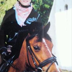 DSP Svanfolks Rebecca