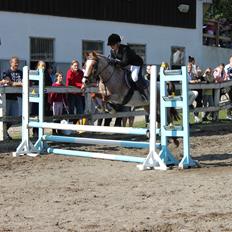 Anden særlig race Spiderman  (Napoli)