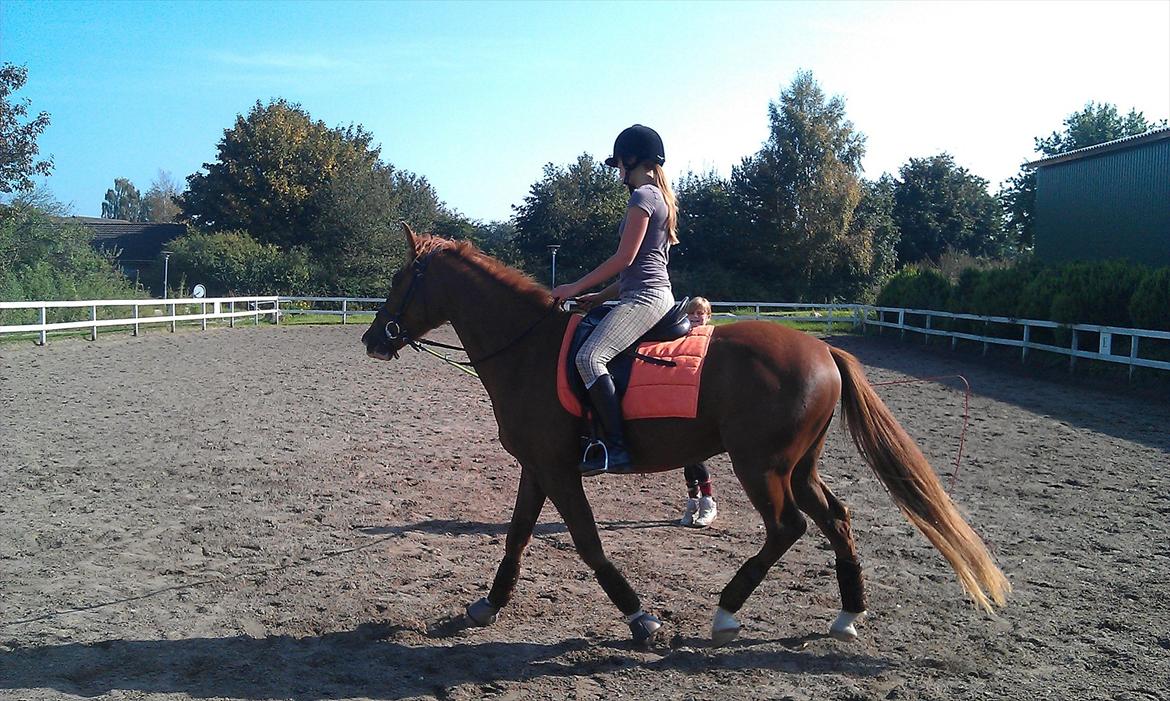 Anden særlig race My Wild Star - Min dejlige dreng :-) - Dig & Mig <3. billede 9