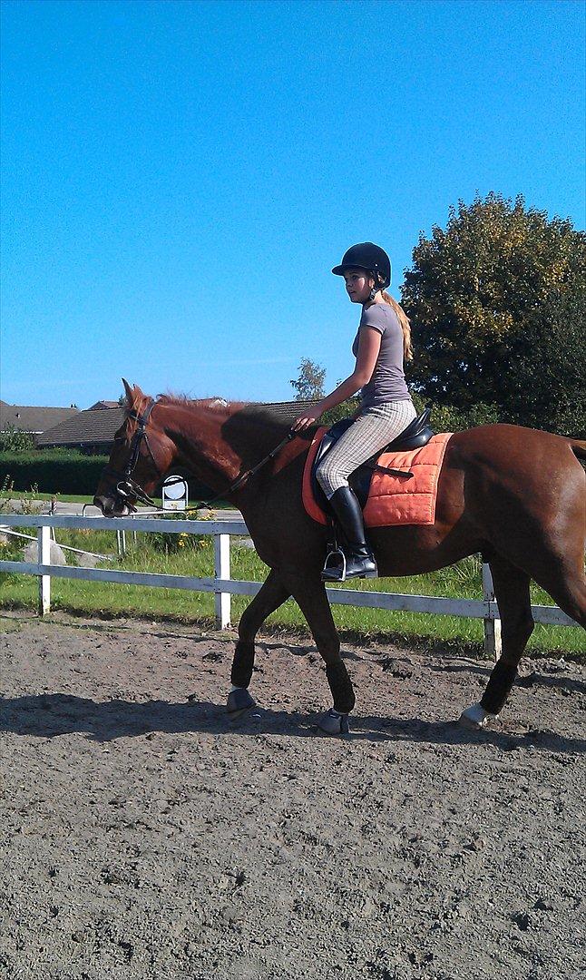 Anden særlig race My Wild Star - Min dejlige dreng :-) - Jeg elsker dig! billede 11