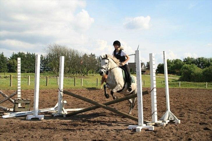 Anden særlig race Valten - Walden i spring med ? på ryggen i vores sommerferie-ridelejr 2011 :-) billede 3