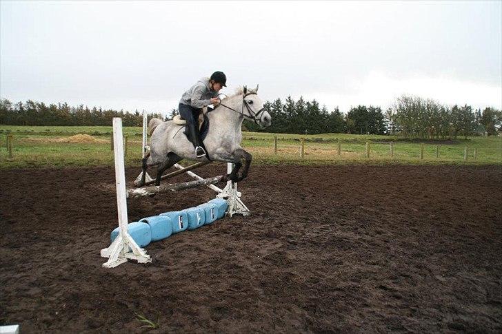 Anden særlig race Valten - Walle og jeg i fuld hop :) billede 6