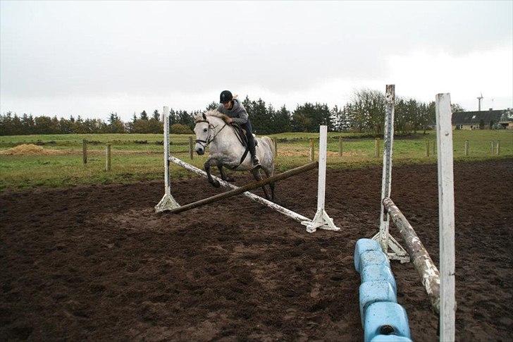 Anden særlig race Valten - Mit første spring på Walden :) billede 7