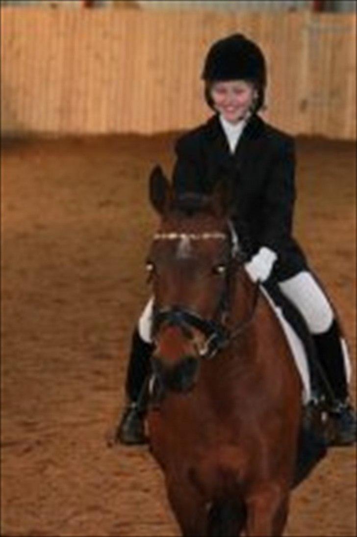 Anden særlig race Cher billede 6