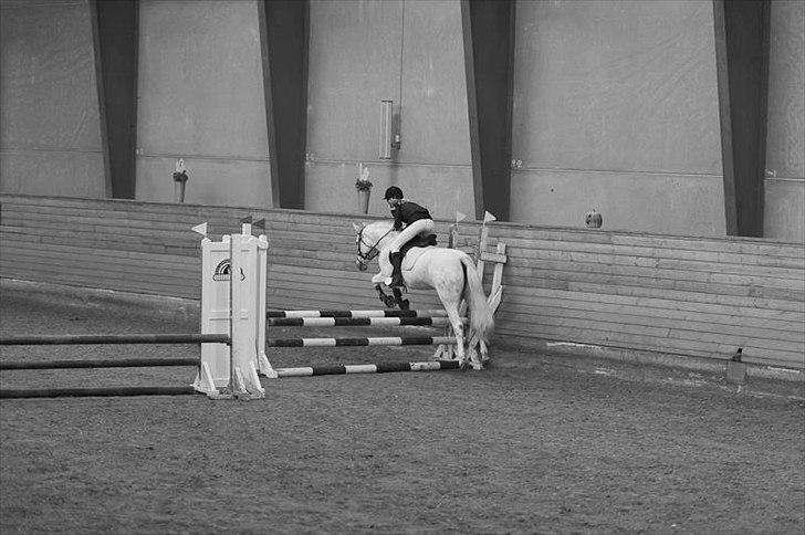 Anden særlig race Fanta<3 - <3 billede 19