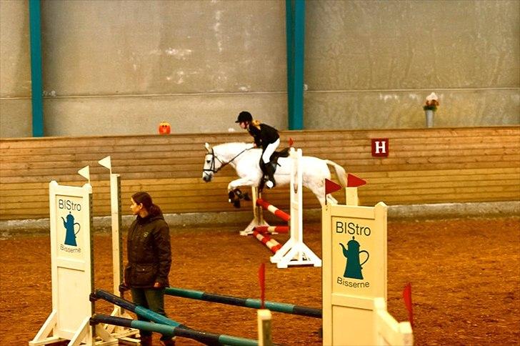 Anden særlig race Fanta<3 - Babyjump!:) 2 plads!<3 billede 14