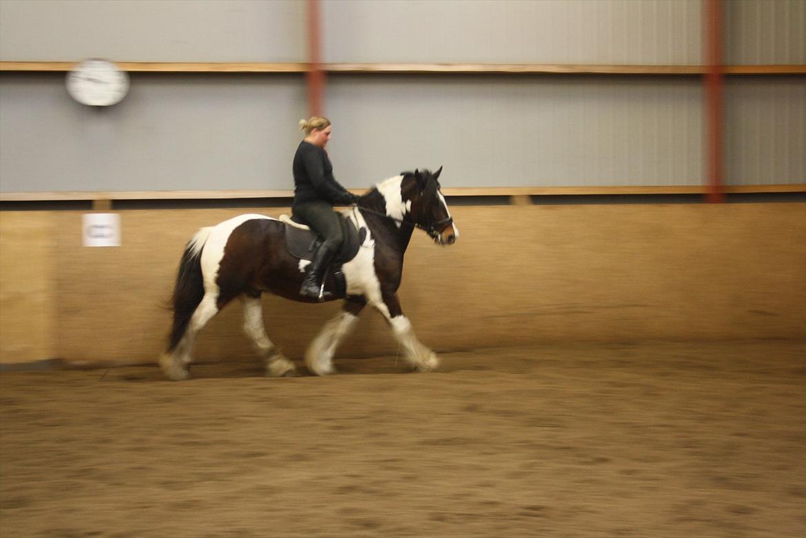 Tinker Juncker ( Låne Hest<) - Nyeste dressur undervisning 07/11.11 billede 10