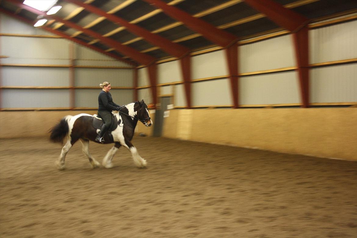 Tinker Juncker ( Låne Hest<) - Nyeste dressur undervisning 07/11.11 billede 11
