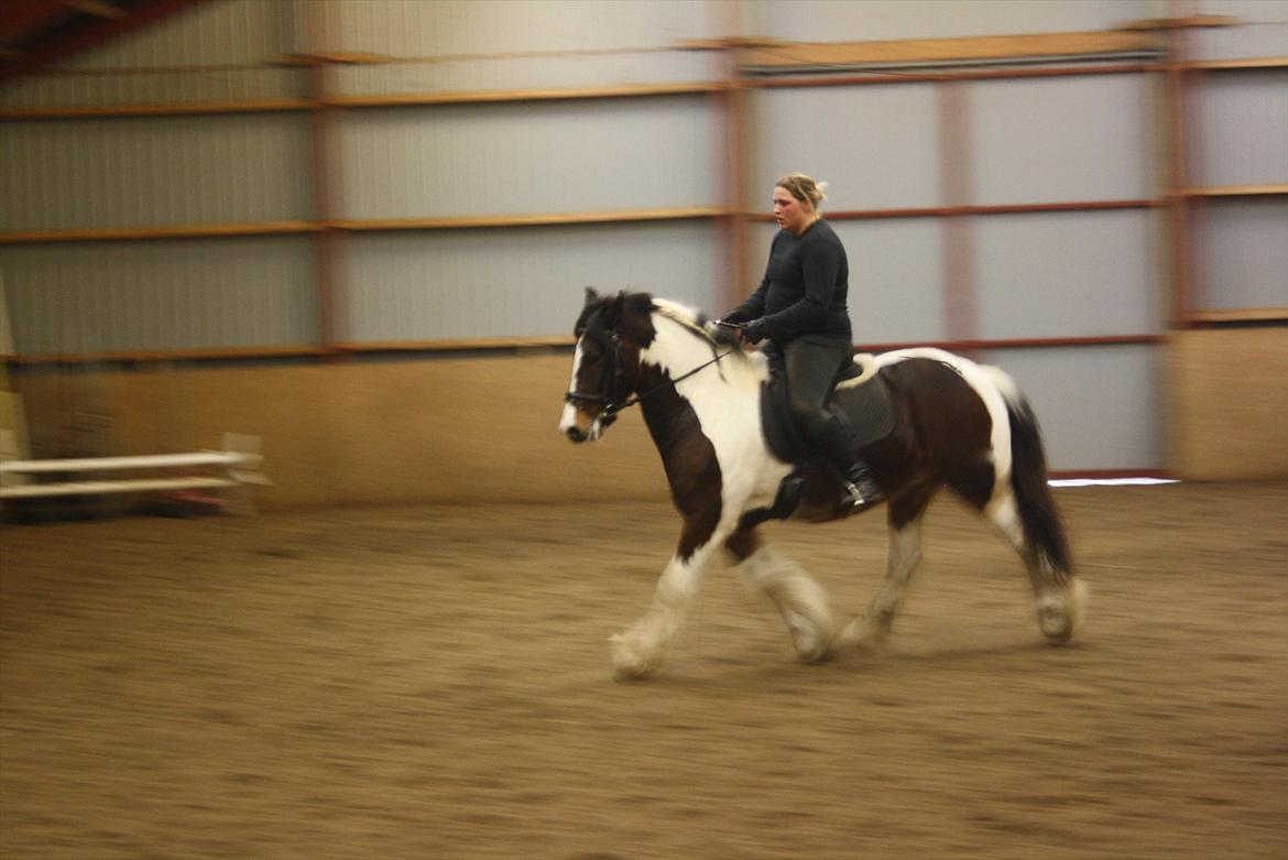 Tinker Juncker ( Låne Hest<) - Nyeste dressur undervisning 07/11.11 billede 12