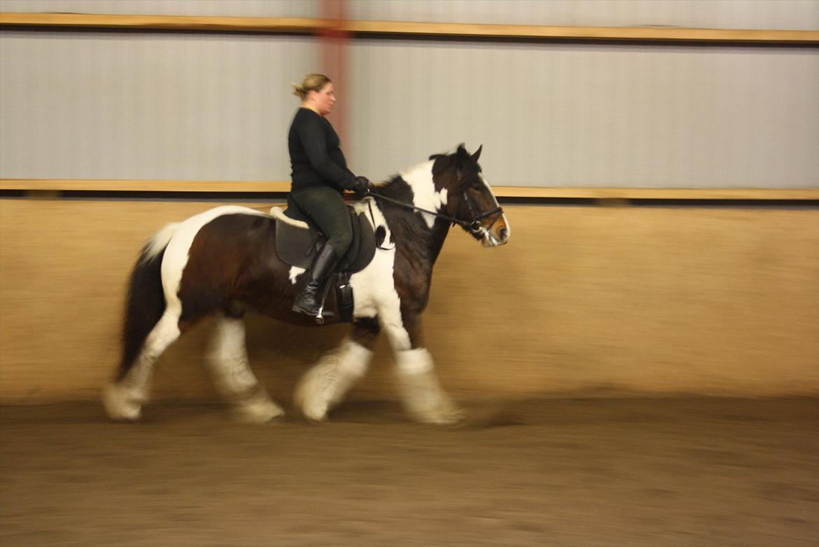 Tinker Juncker ( Låne Hest<) - Nyeste dressur undervisning 07/11.11 billede 13