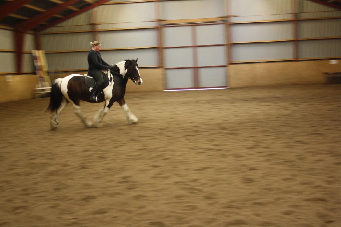 Tinker Juncker ( Låne Hest<) - Nyeste dressur undervisning 07/11.11 billede 14