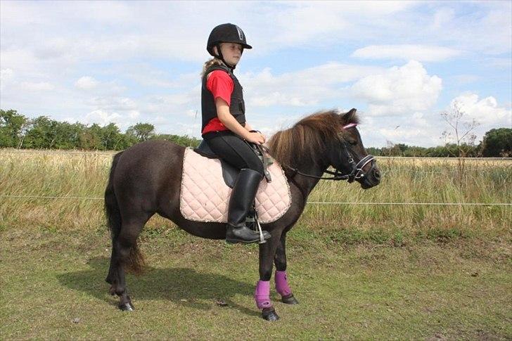 Anden særlig race Malou<3  - første ridetur på malou billede 4