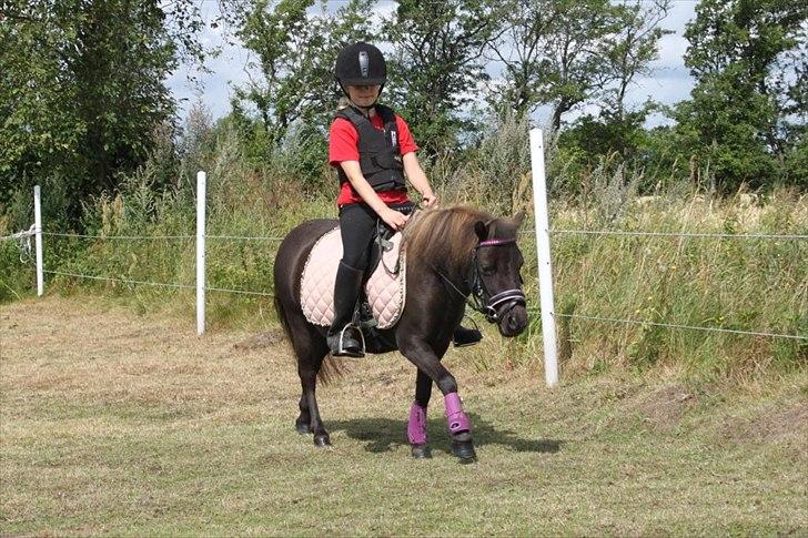 Anden særlig race Malou<3  - første ridetur på malou billede 5