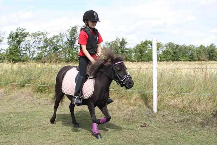Anden særlig race Malou<3  - første ridetur på malou billede 6
