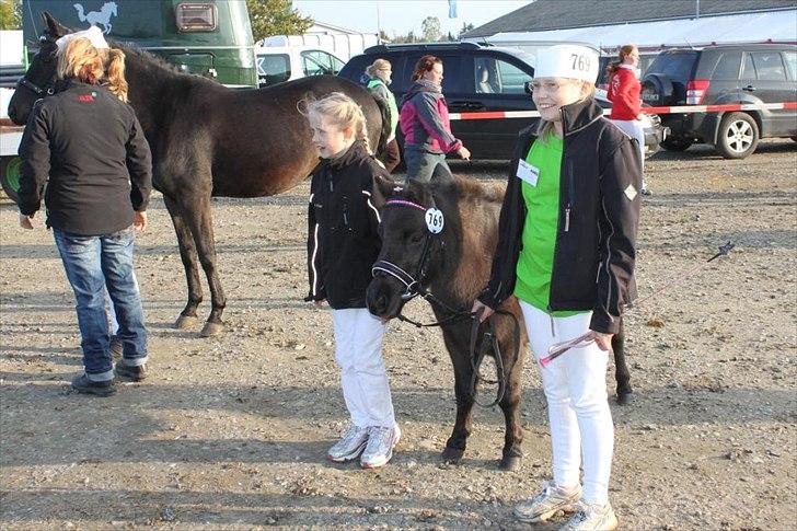 Anden særlig race Malou<3  - uuuuh vor er det spenene  billede 11