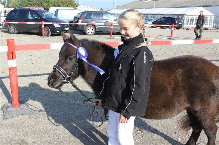 Anden særlig race Malou<3  billede 14