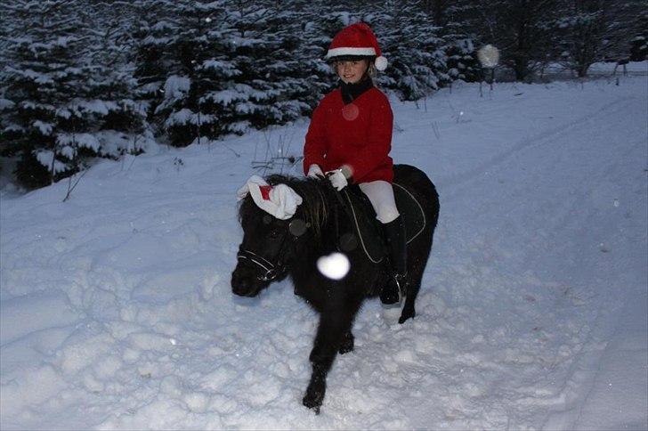 Anden særlig race Malou<3  - Såå der gået jul i det  billede 15